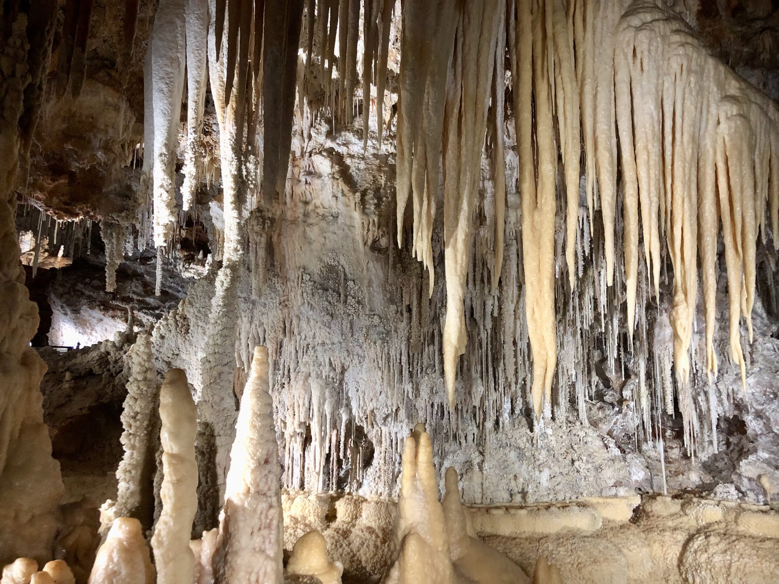 Visites guidées & musicales à la Grotte de Clamouse