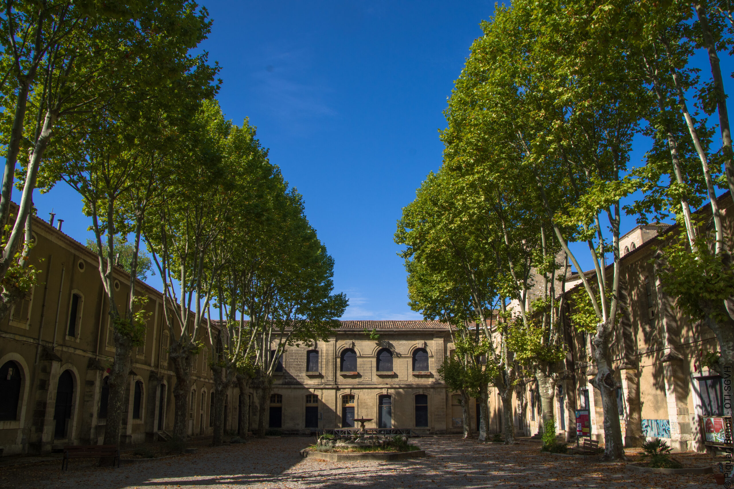 Chemins du vivant - L'Abbaye des Possibles